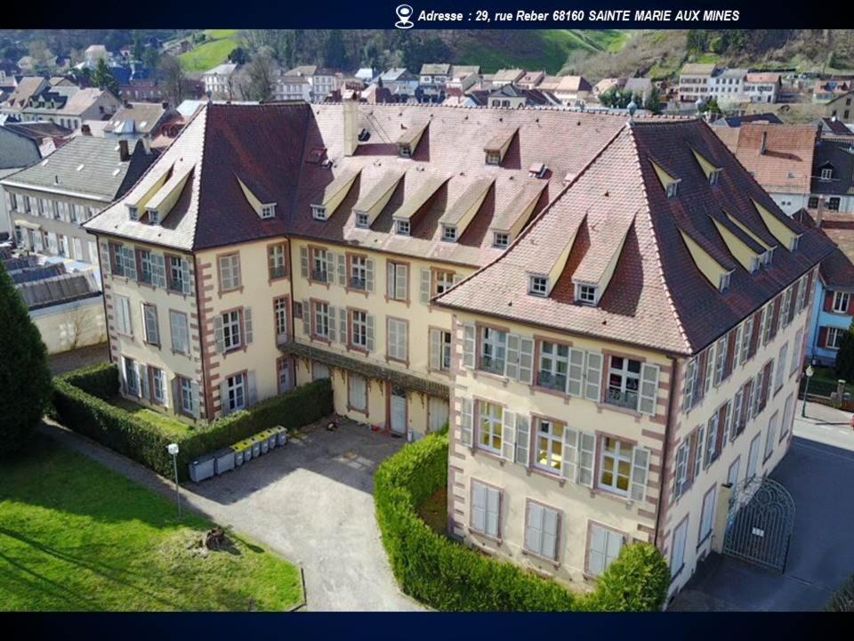 Aux Souvenirs D'Anaelle Gites 5 Personnes Sainte-Marie-aux-Mines Buitenkant foto