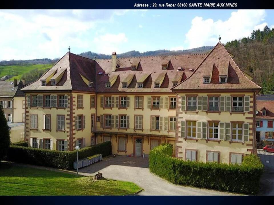 Aux Souvenirs D'Anaelle Gites 5 Personnes Sainte-Marie-aux-Mines Buitenkant foto