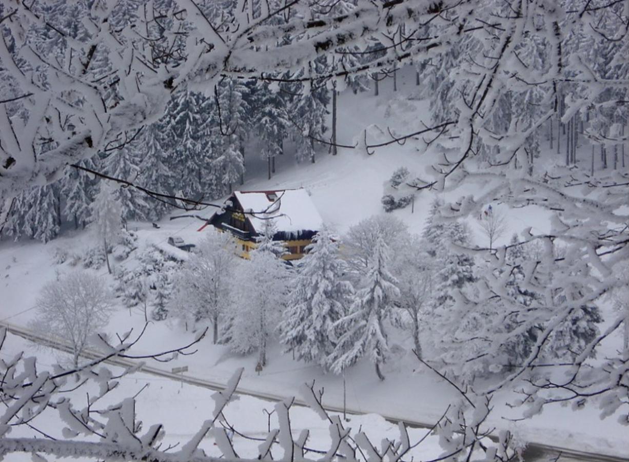 Aux Souvenirs D'Anaelle Gites 5 Personnes Sainte-Marie-aux-Mines Buitenkant foto