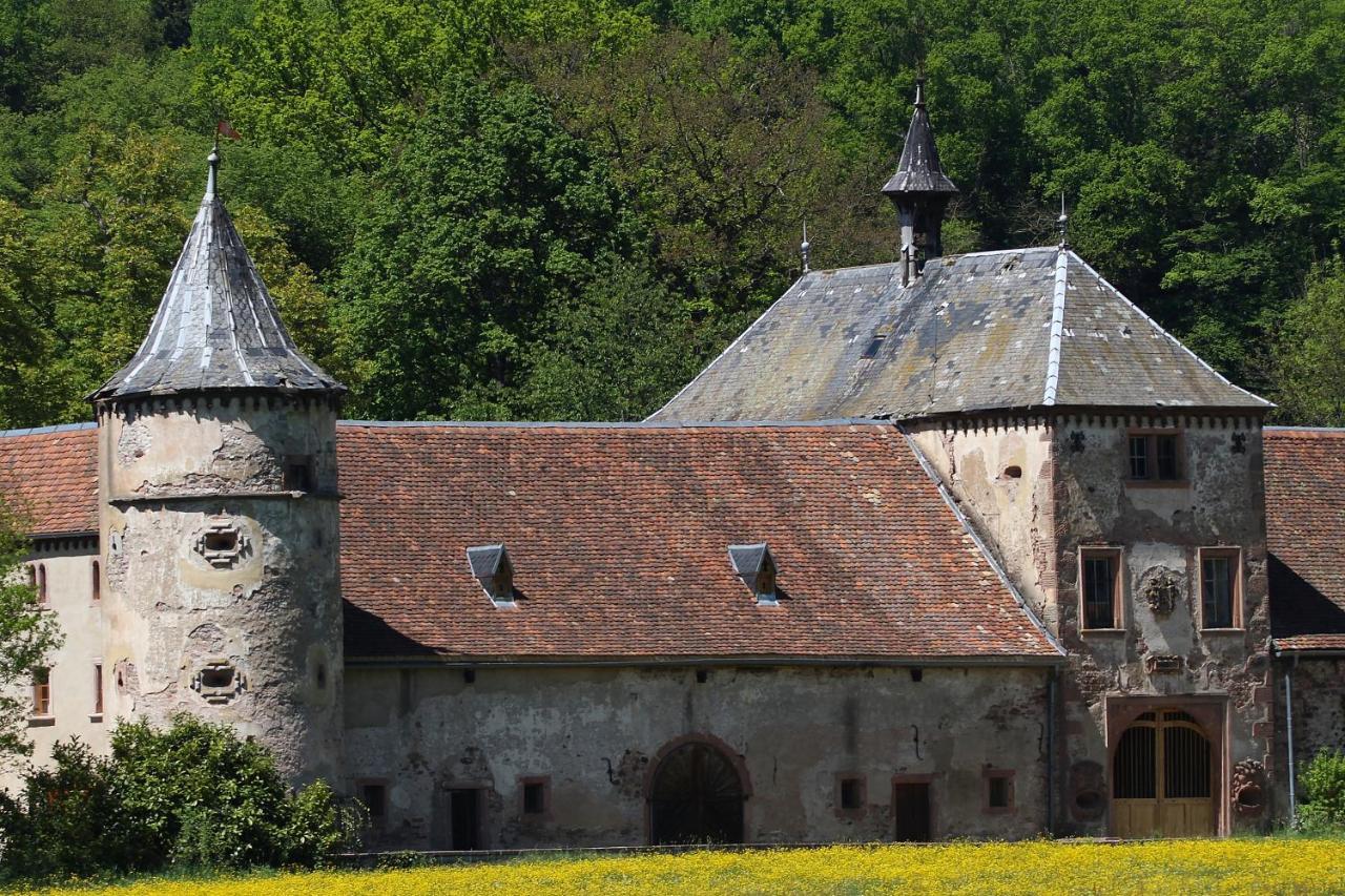 Aux Souvenirs D'Anaelle Gites 5 Personnes Sainte-Marie-aux-Mines Buitenkant foto