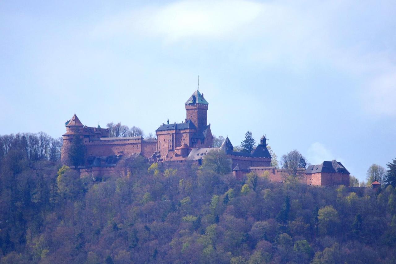 Aux Souvenirs D'Anaelle Gites 5 Personnes Sainte-Marie-aux-Mines Buitenkant foto